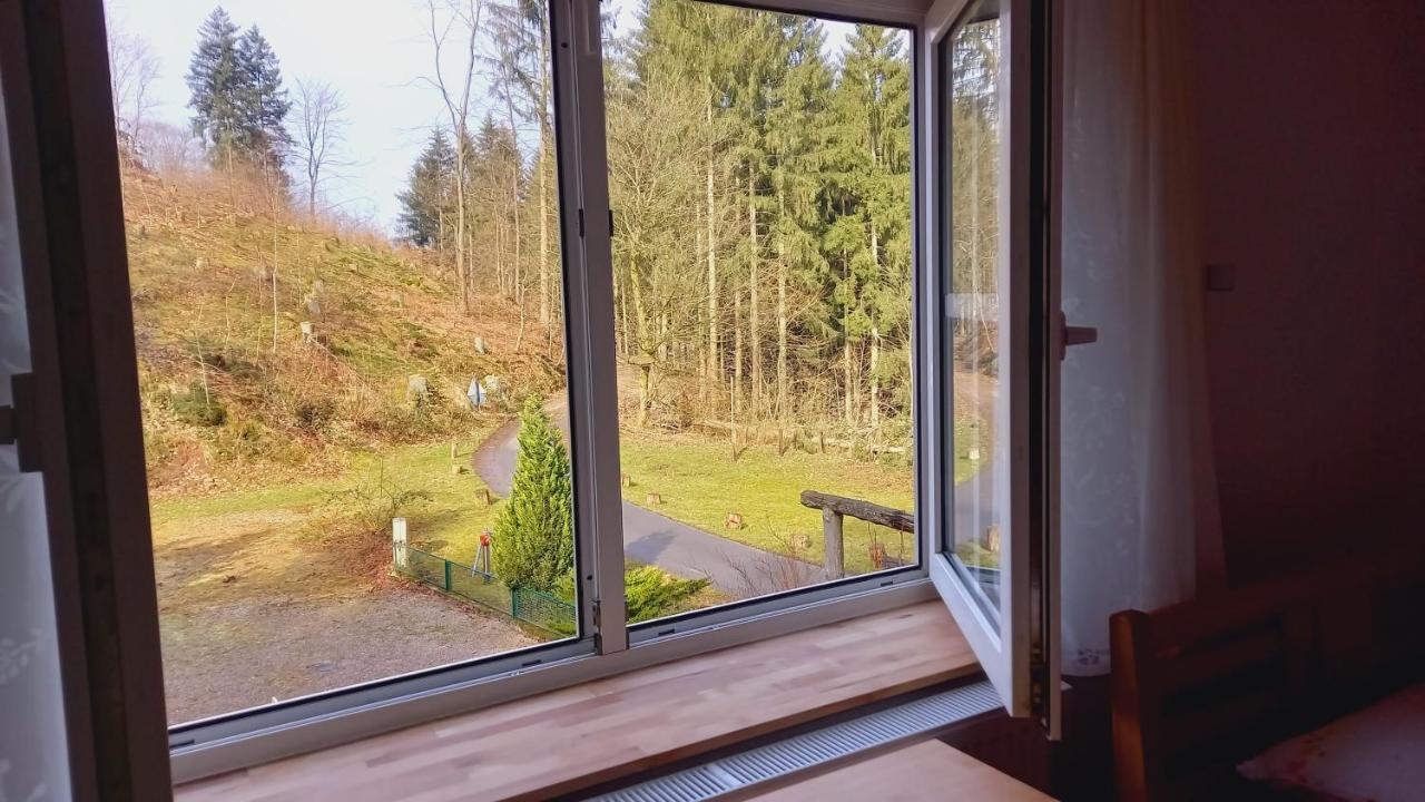 Waldpension Harzer Waldwinkel Bad Grund Exterior photo