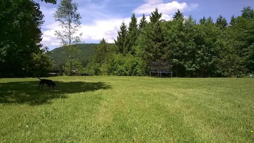 Waldpension Harzer Waldwinkel Bad Grund Exterior photo